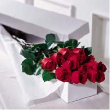 Red Roses in a Box