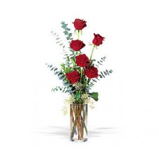 6 Red Roses in a Vase