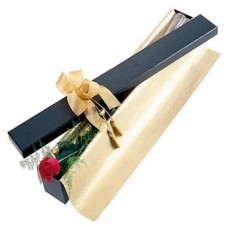 Red Roses in a Box