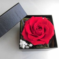 ROSES IN A BOX