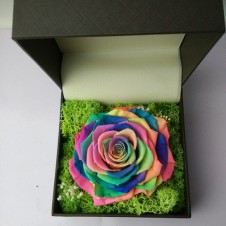 PRESERVED RAINBOW ROSE IN A BOX