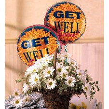 Get well Mylar Balloon with White Daisies in a  Basket