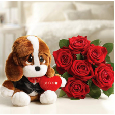 Red Holland Roses Bouquet with Cute Plush Toy