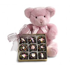 Pink Bear with Cookies