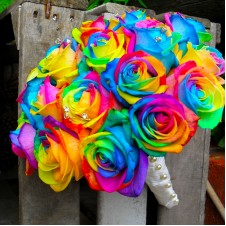 Rainbow Rose 1 Dozen