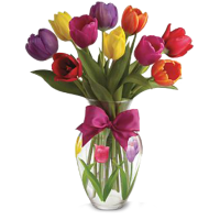 Tulips