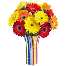 12 Colored Gerbera in a Bouquet