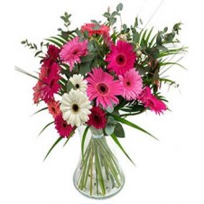 12 Mixed Gerbera in a Bouquet