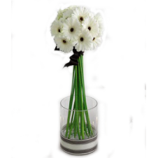 12 Stems White Gerberas in a Bouquet