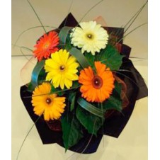 5 Assorted Gerberas in a Bouquet