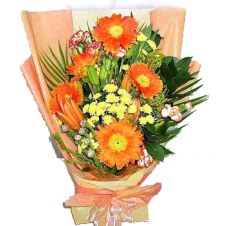 5pcs Orange Gerbera in a Bouquet