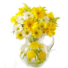 6 Yellow Gerbera in a Bouquet