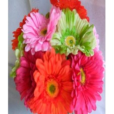 6pcs. Assorted Gerberas in a Bouquet