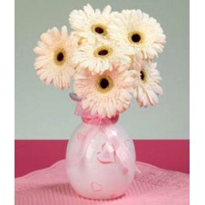 6pcs. White Gerberas in a Boquet