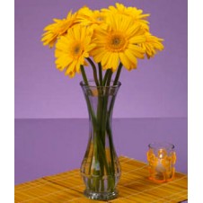 6pcs. Yellow Gerberas in a Bouquet