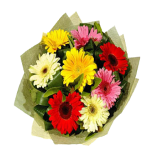 8pcs. Mixed Gerberas in a Bouquet