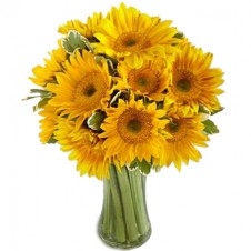 Endless Summer Sunflower -12 Stems in a Bouquet