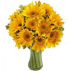 Endless Summer Sunflower -15 Stems in a Bouquet