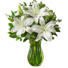 All White Lily in a Vase