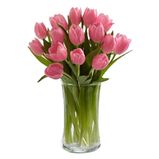 Pink Prelude Tulip Bouquet -15 Stems