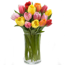Rush of Color Assorted Tulip - 15 Stems in a Bouquet