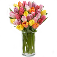 Rush of Color Assorted Tulip - 30 Stems in a Bouquet