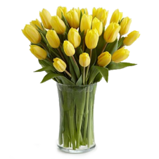 Sunshine's Promise Tulip-15 Stems in a Bouquet