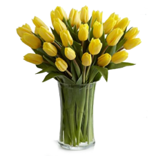 Sunshine's Promise Tulip-30Stems in a Bouquet
