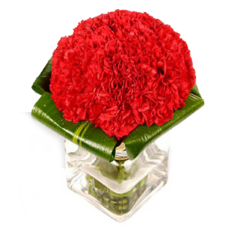 20 Pcs Red Carnations in a Vase