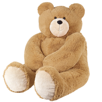 Teddy Bear 2 to 4feet