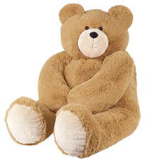 Teddy Bear 2 to 4feet