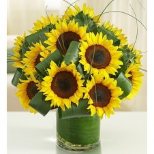 Sun-Sational Sunflowers-12 Stems in a Bouquet