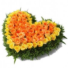 60 Yellow and Orange Roses