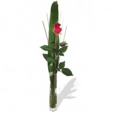 Single Rose in a Bouquet
