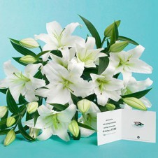 One Dozen White Lilies in a Bouquet