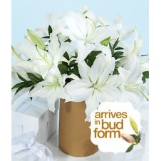 18pcs White Lilies