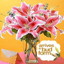 5pcs Pink Lilies in a Vase