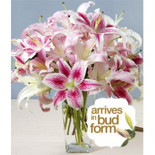 Two Dozen Mixed Pink & White Lilies in a Vase
