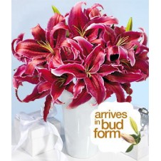 2 dozen Deep Red Lilies in a Vase