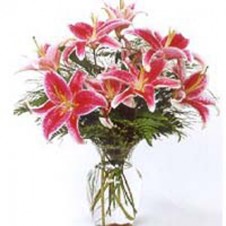 8pcs Star Gazer Lilies in a Vase