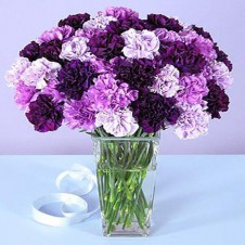 20 Pcs Mixed Purple Carnations in a Vase