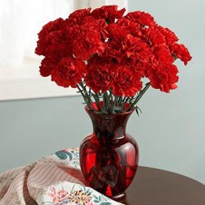 10 Red Carnations in a Vase