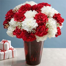 20 Pcs Mixed White & Red Carnations in a Vase
