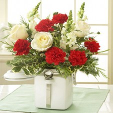 Red Carnations with White Roses in a Vase