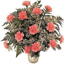 Fancy Arrangement of Pink Carnations in a Vase