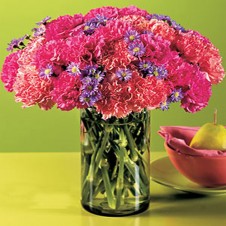 Brightly Colored Pink and Orange Carnations in a Bouquet
