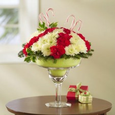 Carnations Margarita 2
