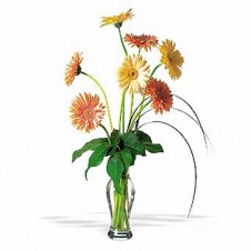 7 Stems Smiley Gerbera in a Vase