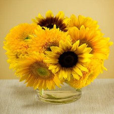 6pcs Sunflower in a Vase