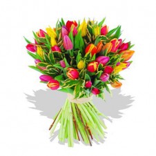One Dozen Assorted Tulips in a Bouquet